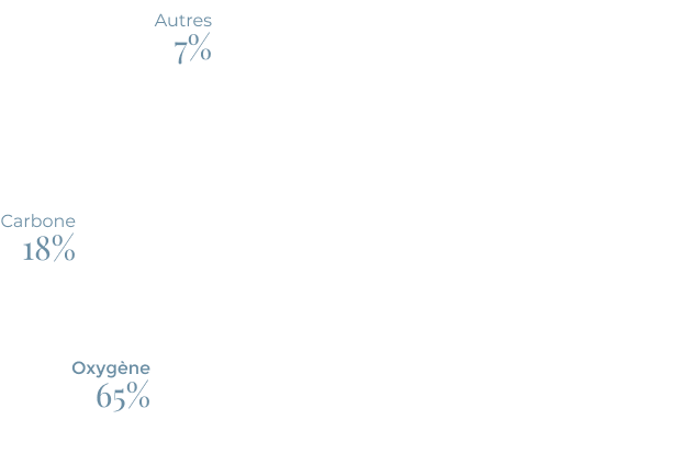 Hydrogène dans notre corps